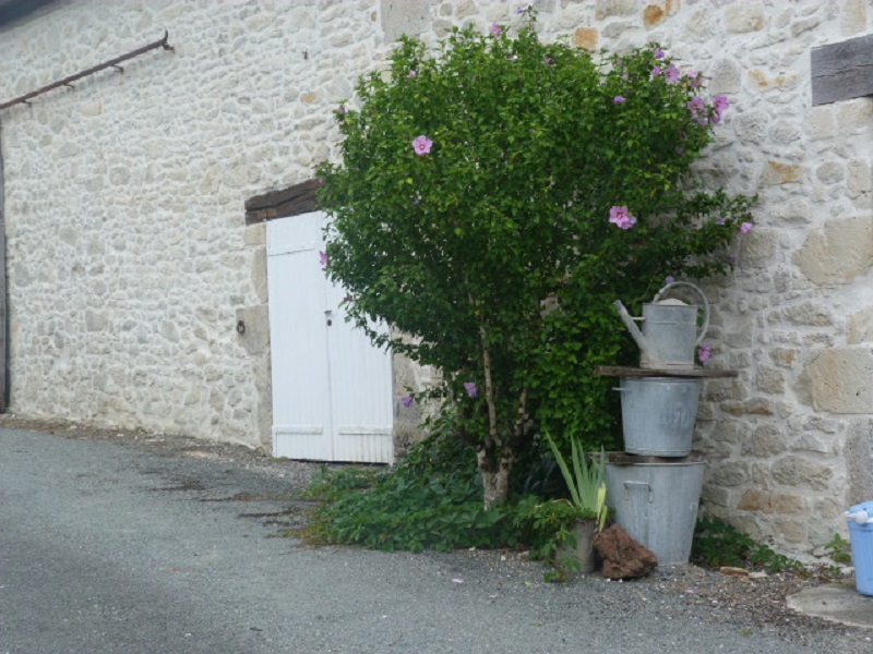 Les Baronnies_16480 ORIOLLES_11 Les Baronnies_16480 ORIOLLES_11